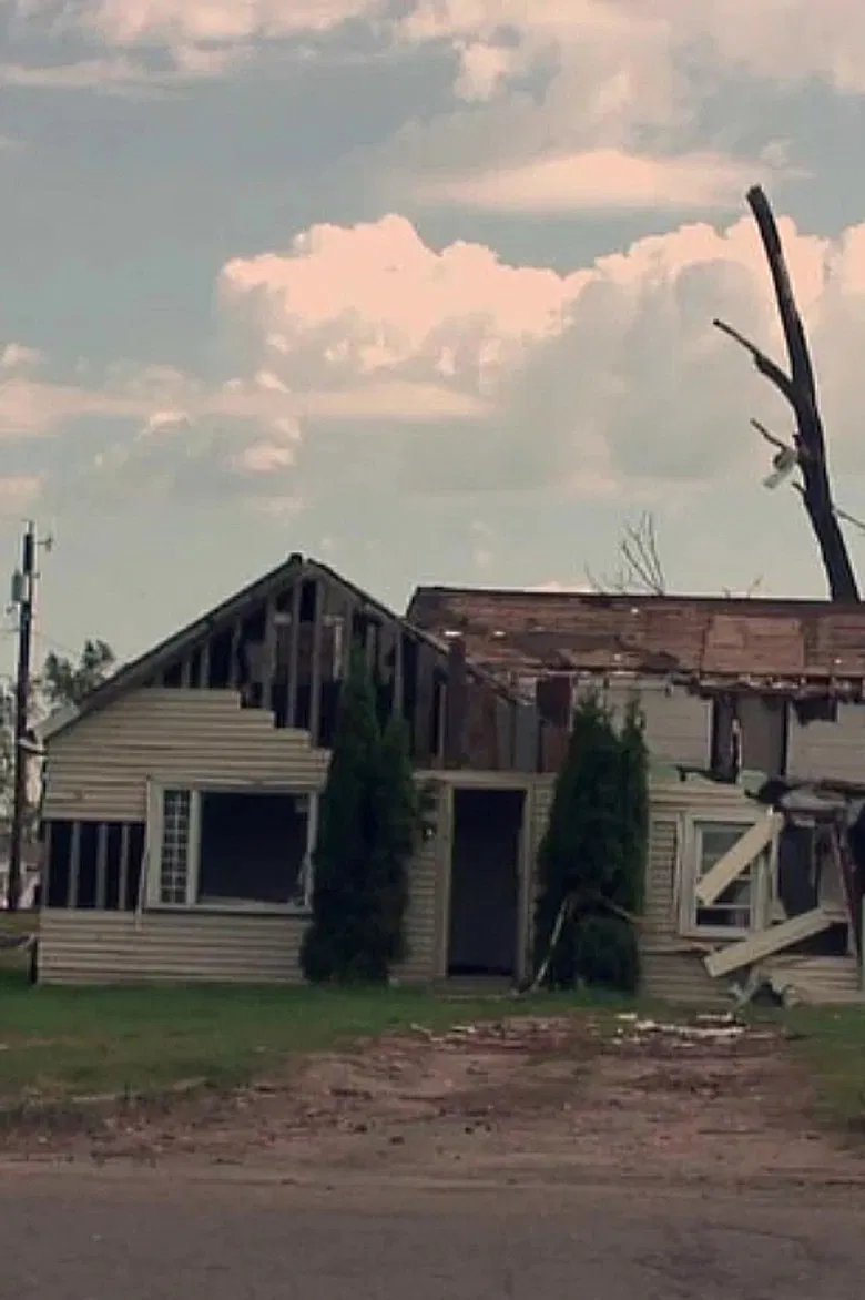 Wadena poster background