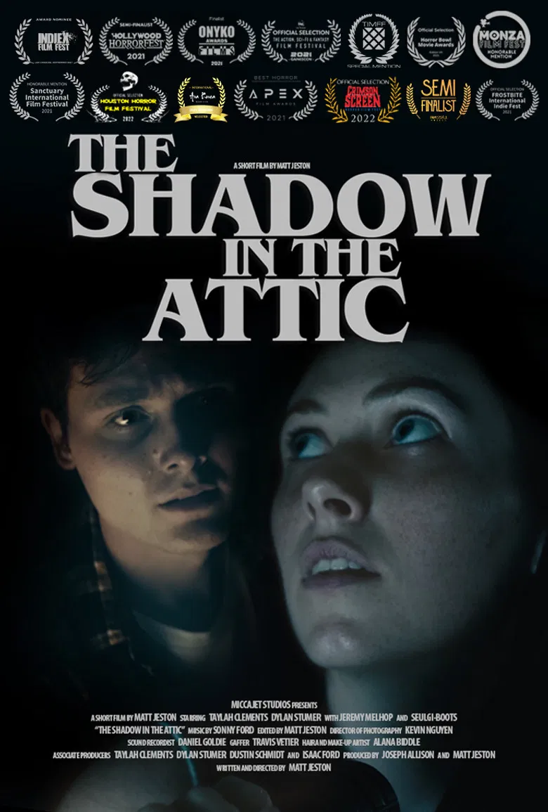 The Shadow in the Attic poster background