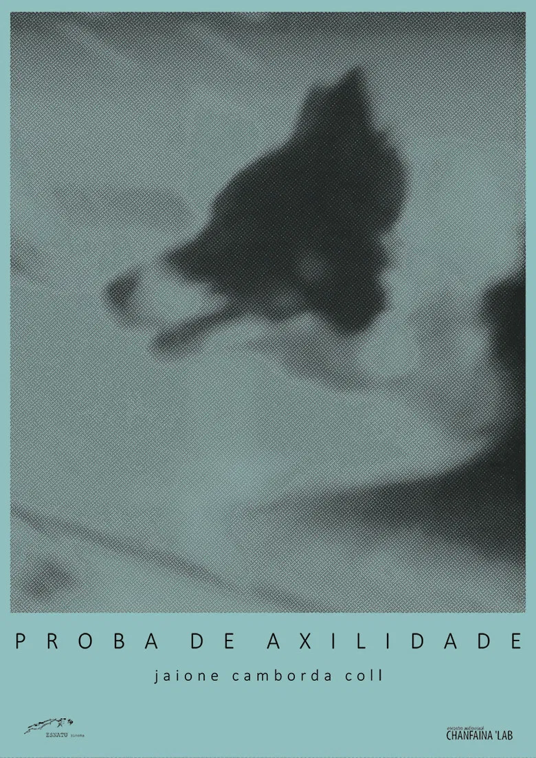 Proba de Axilidade poster background