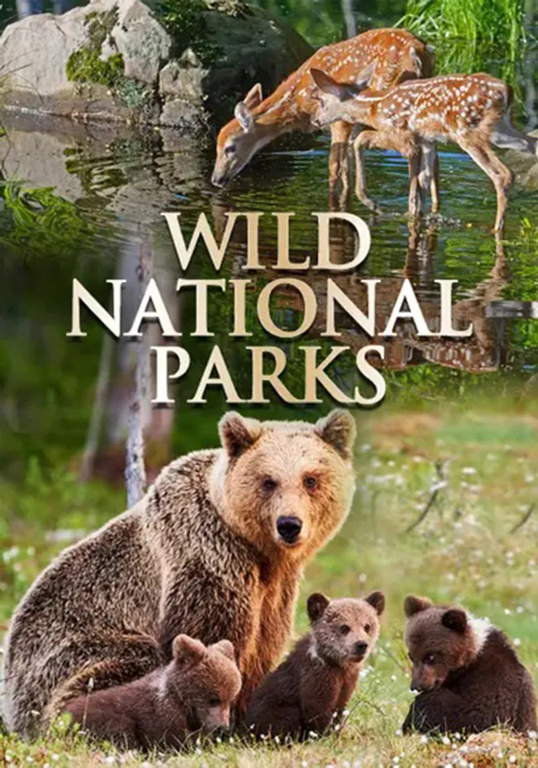 Wild National Parks poster background