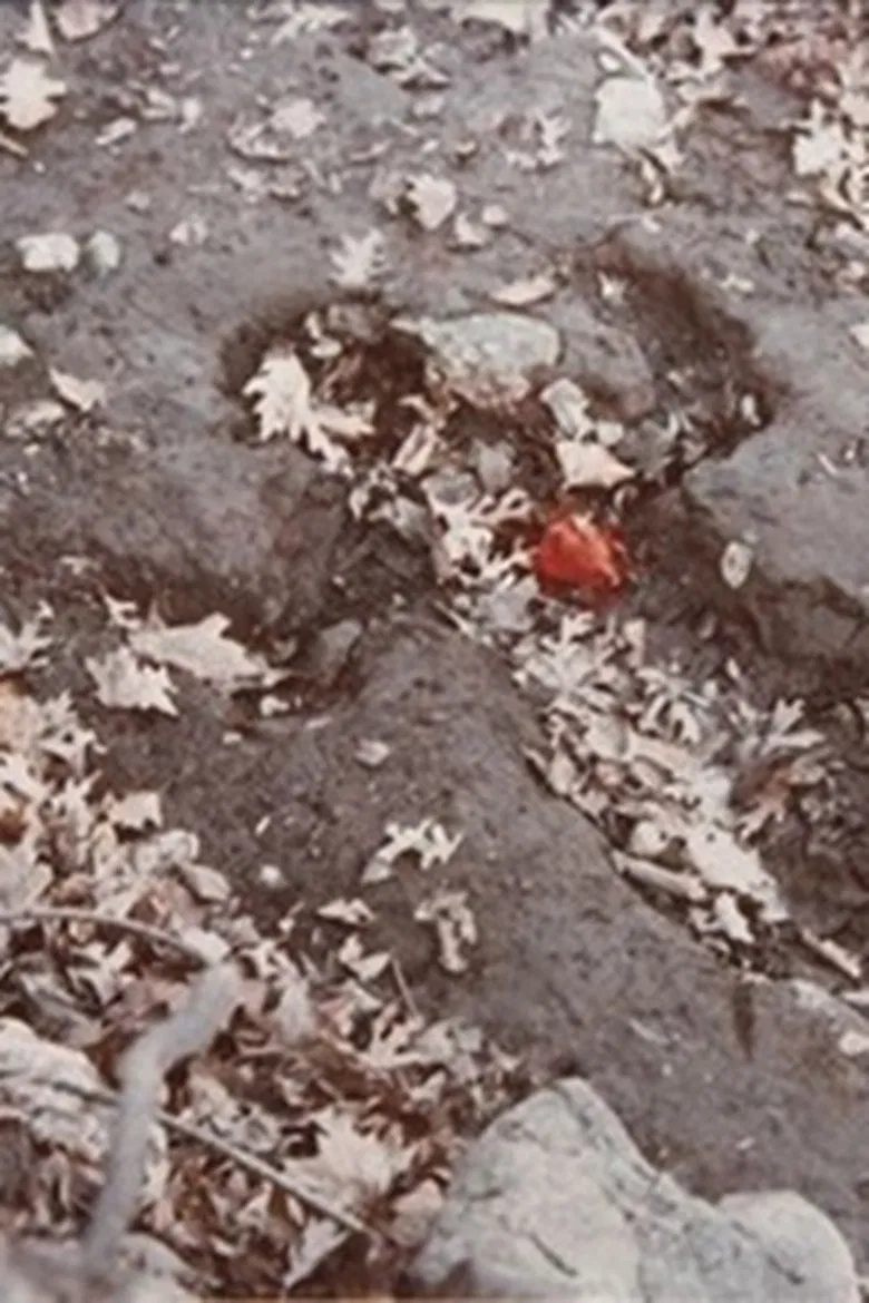 Heart of Rock with Blood poster background