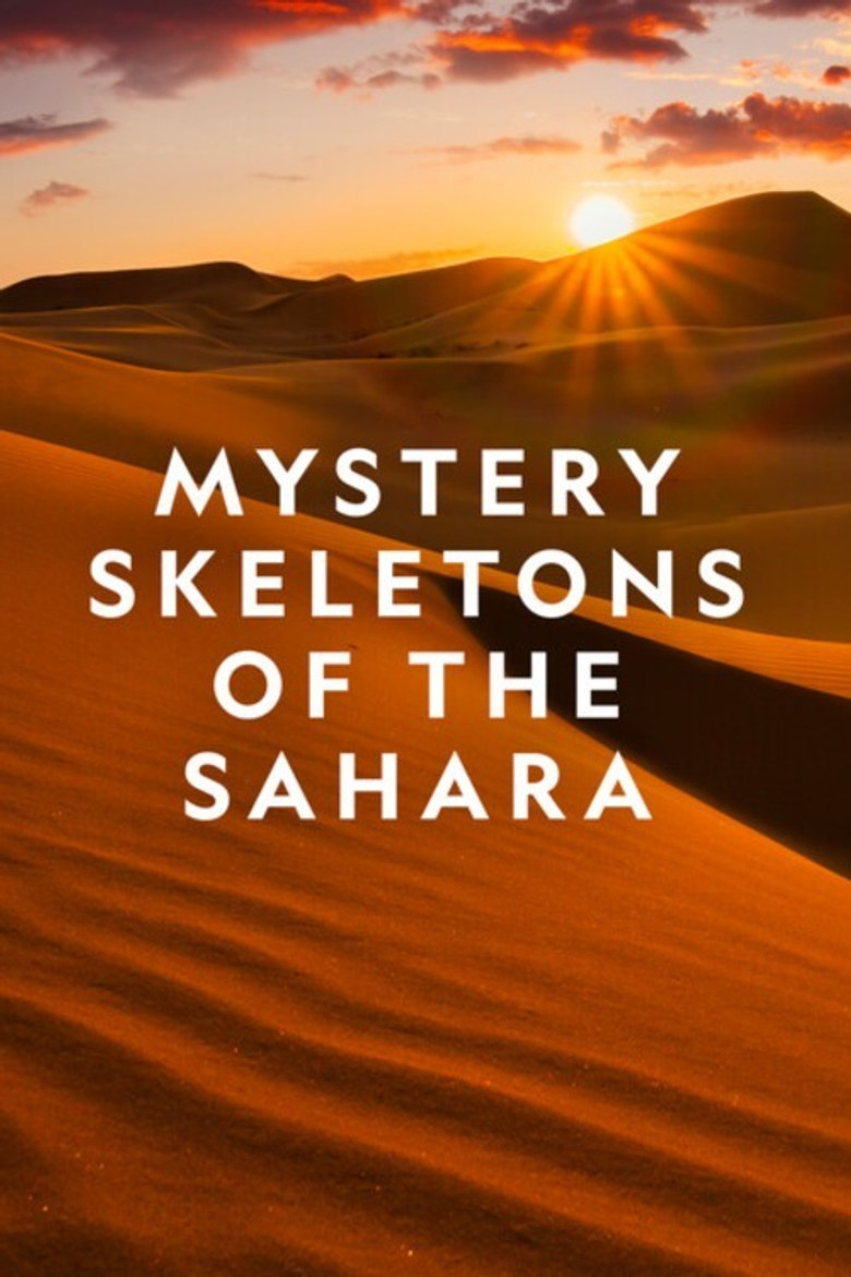 Mystery Skeletons of the Sahara poster background