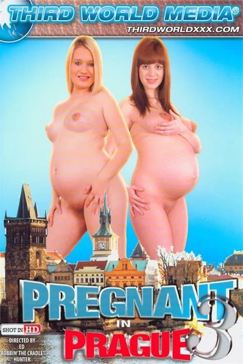 Pregnant In Prague 3 poster background