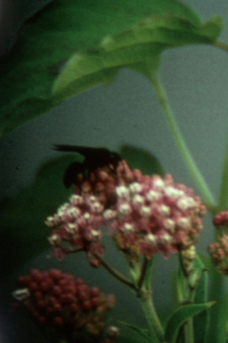 Remembrance and Goodbye poster background