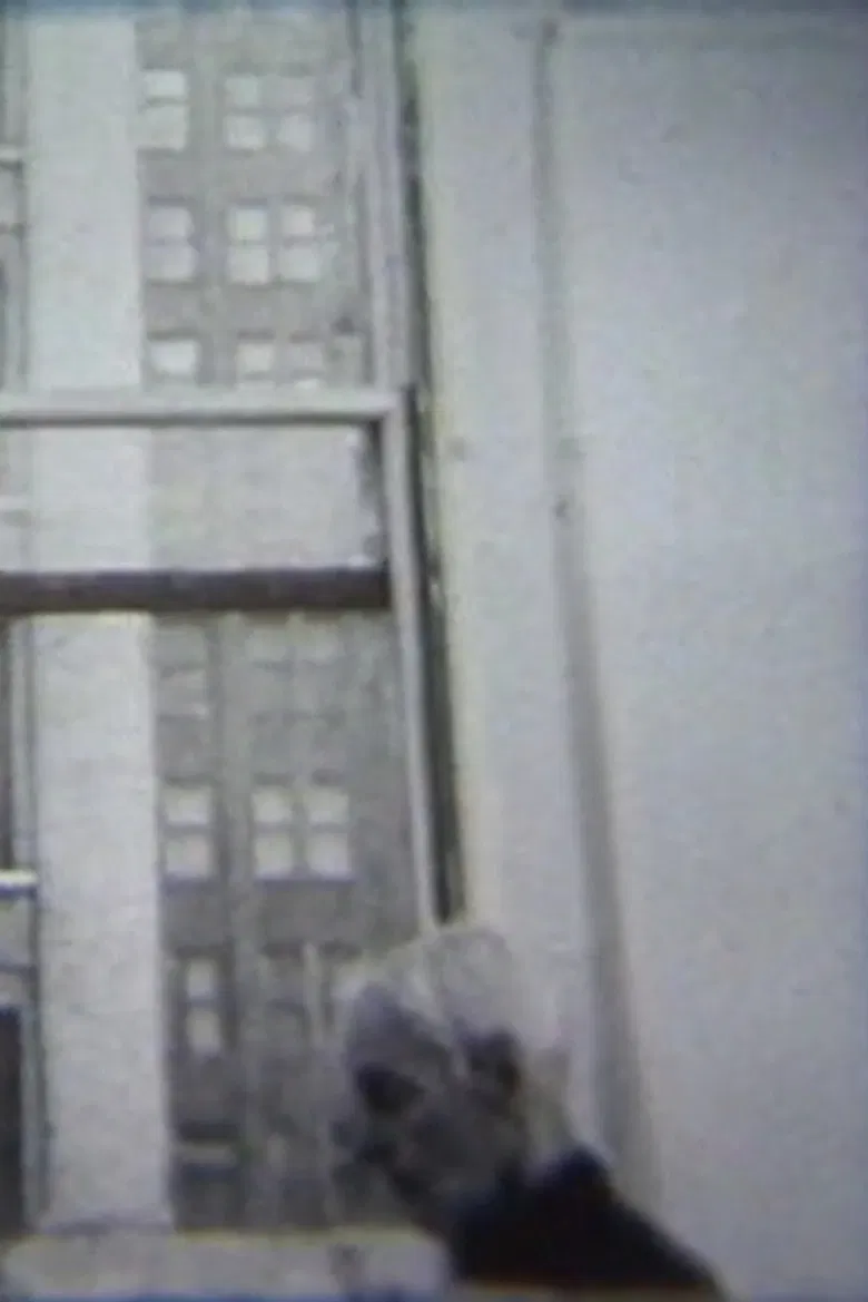 Edwin Denby poster background