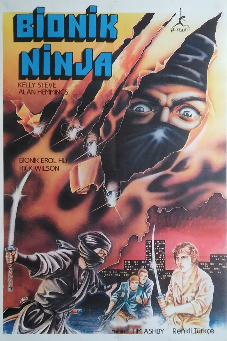 Ninja Assassins poster background