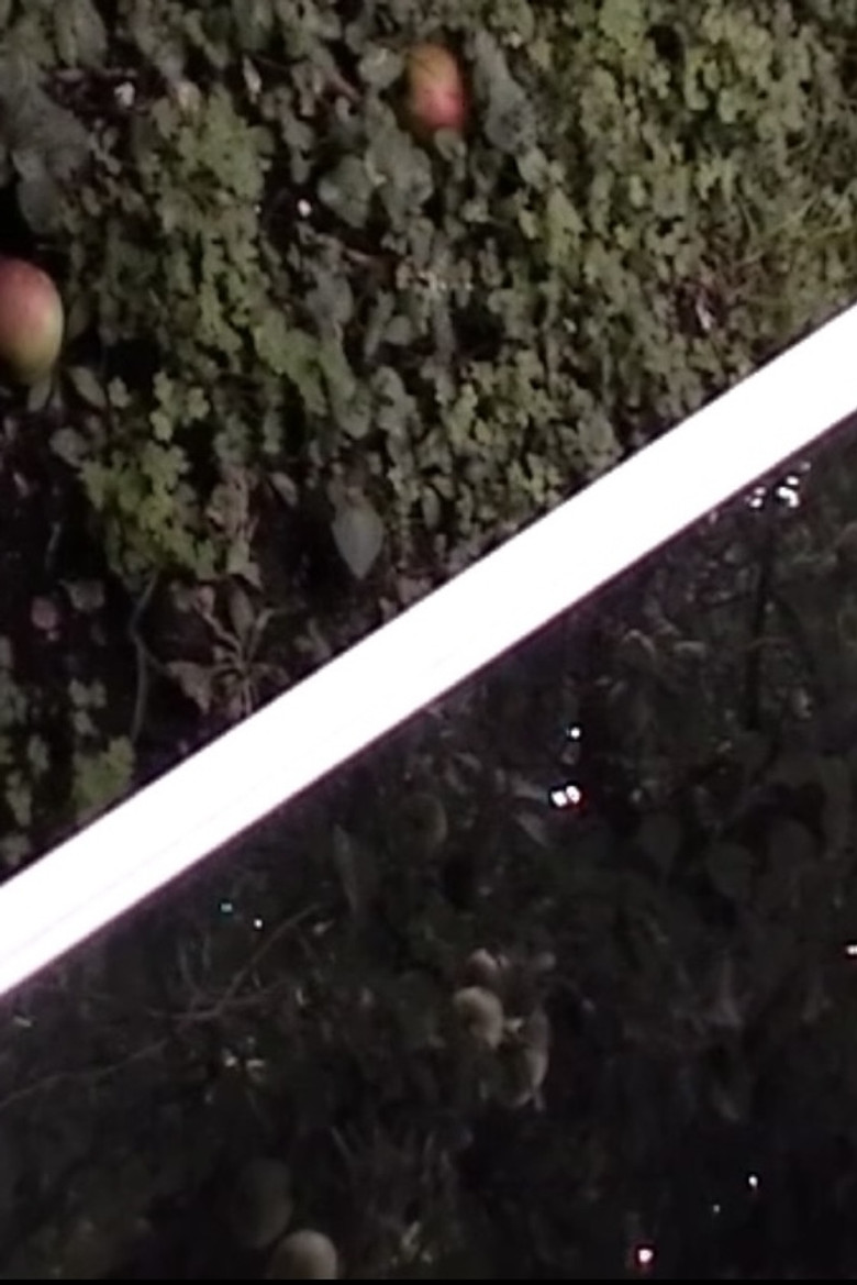 M..M poster background