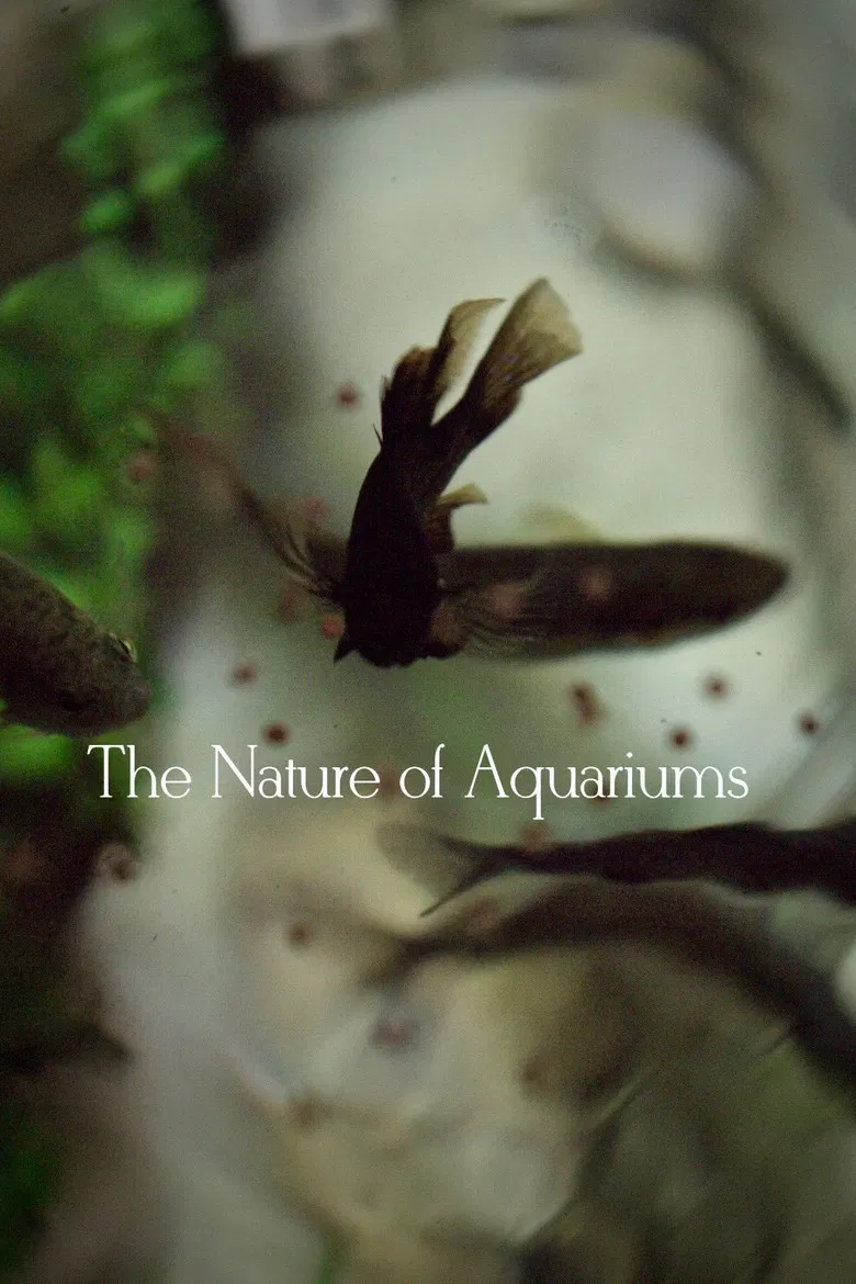 The Nature of Aquariums poster background