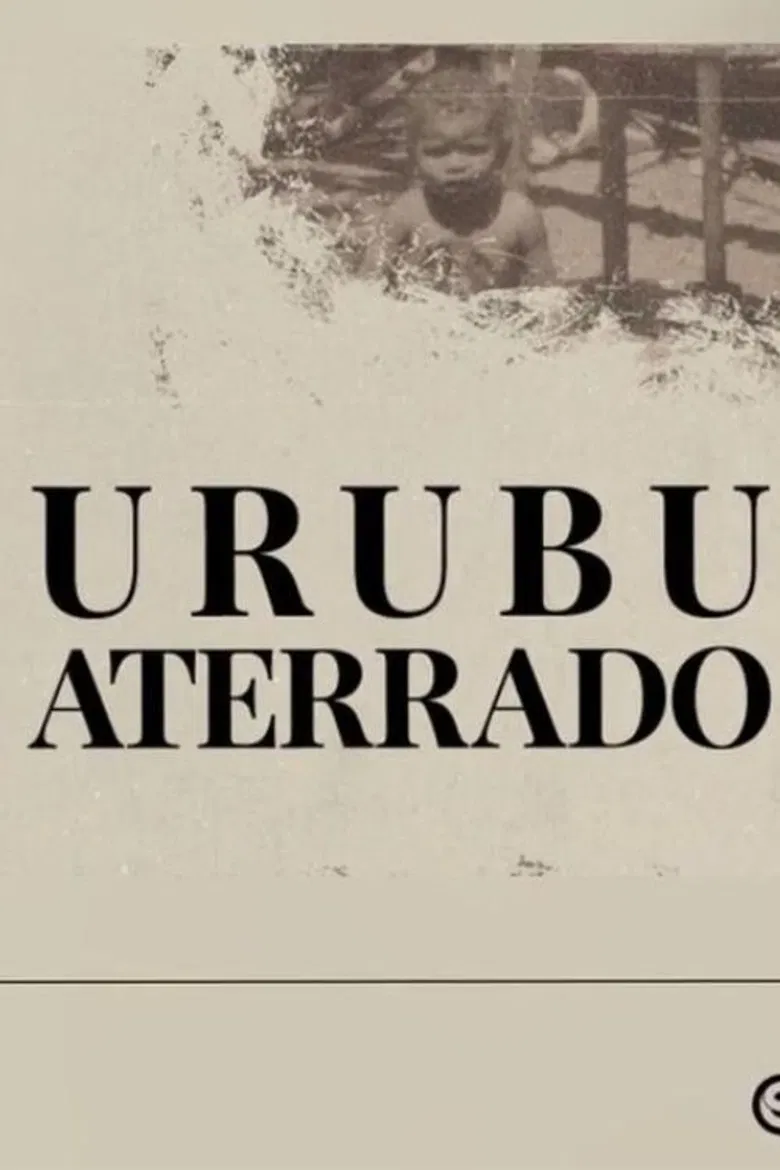 Urubu aterrado poster background