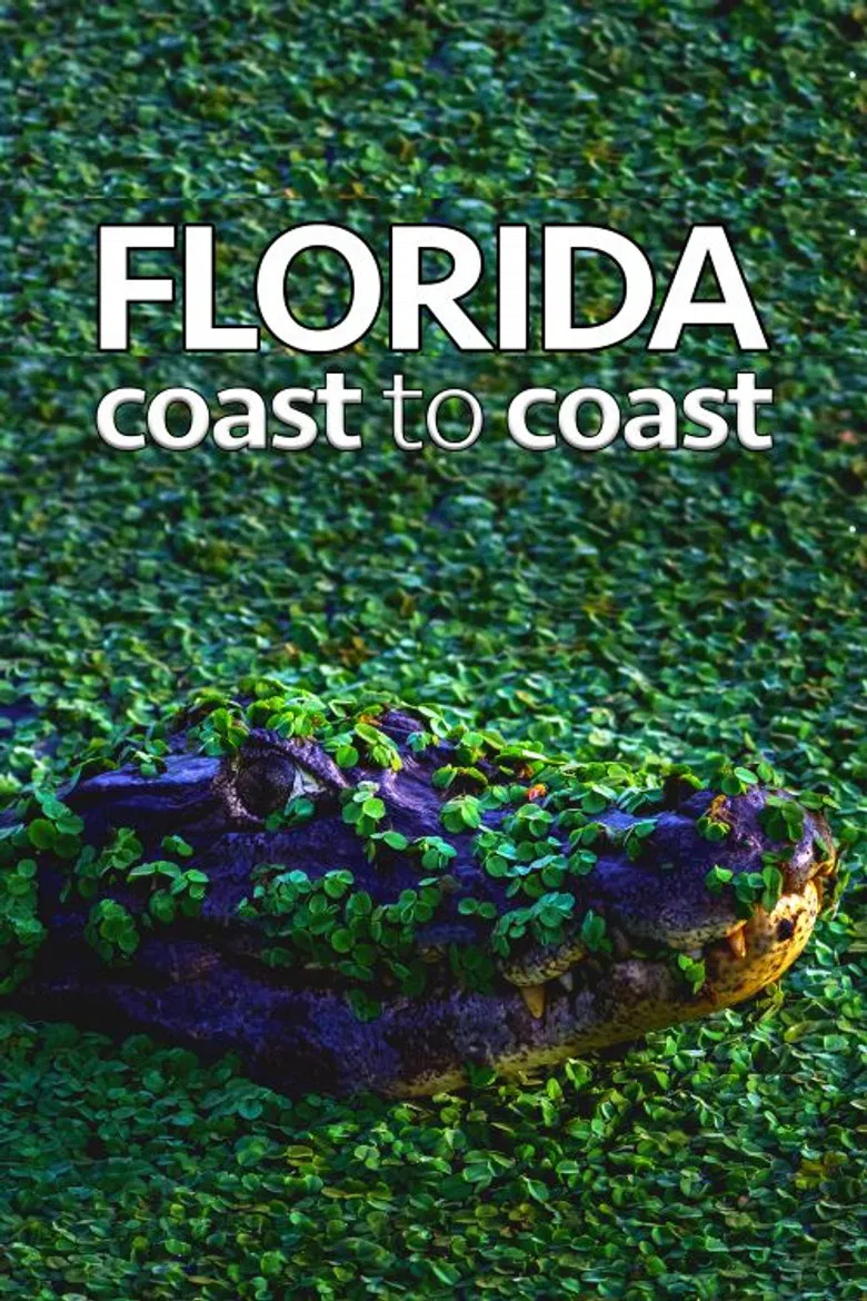 Florida Coast To Coast poster background