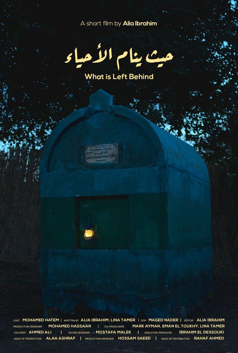 What is Left Behind poster background