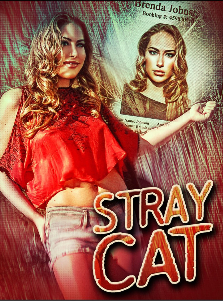 Stray Cat poster background