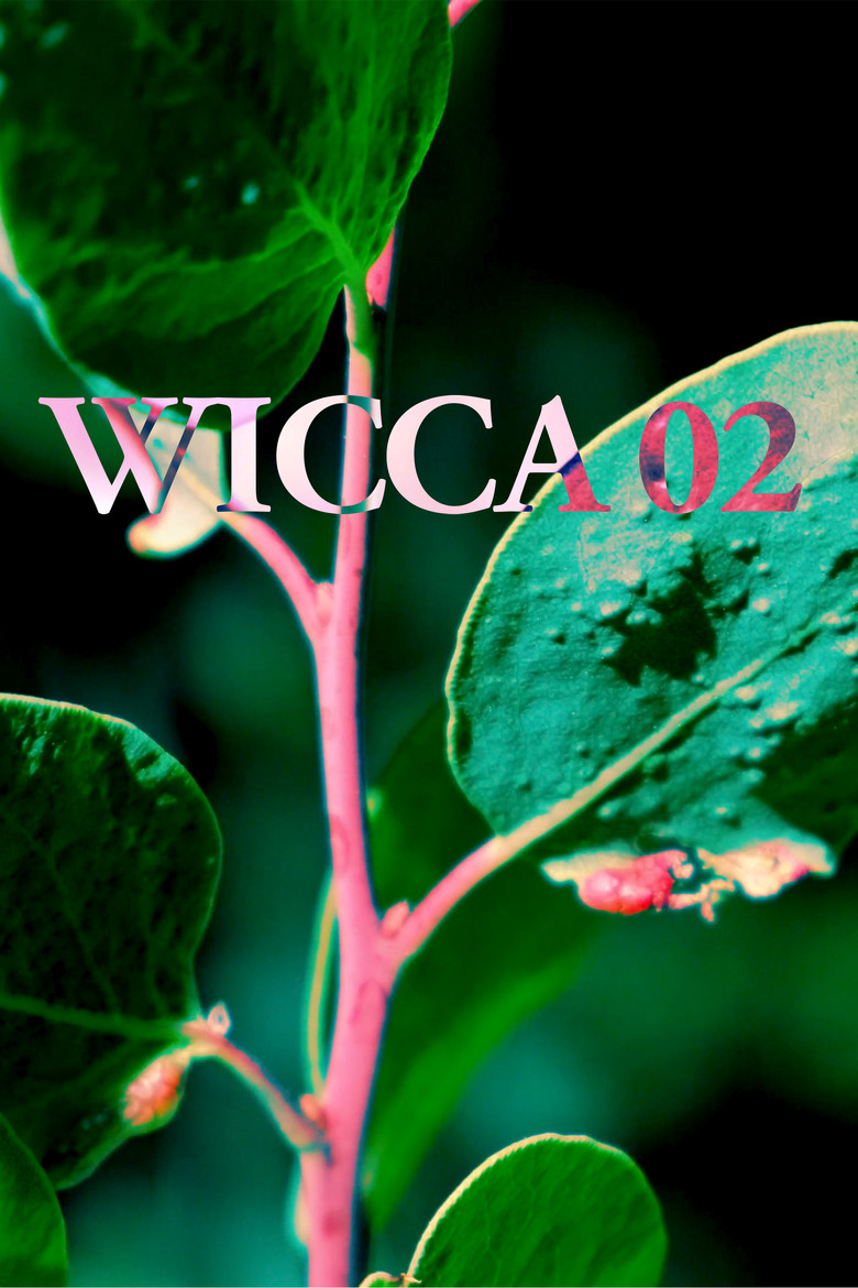 WICCA_02 poster background