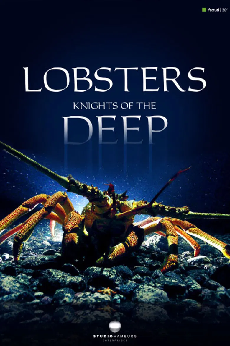 Lobsters - Knights of the deep poster background