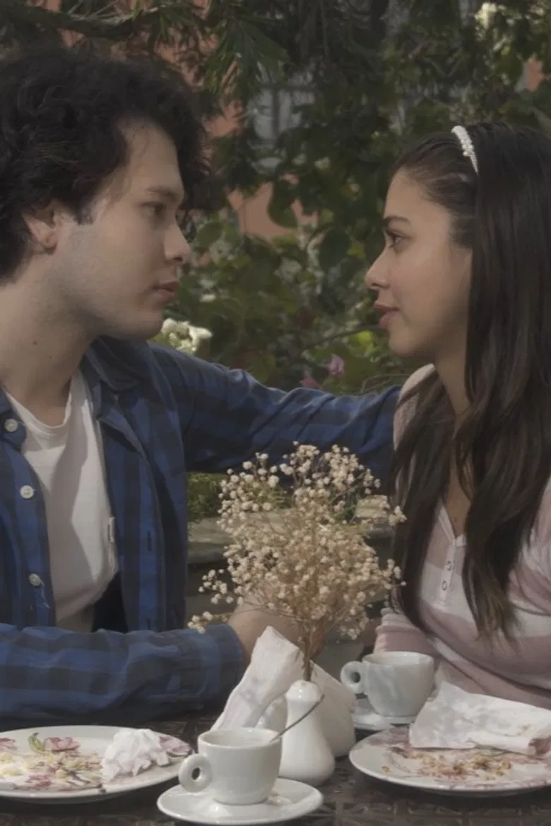 Manual do Amor para Jovens Desastrados poster background