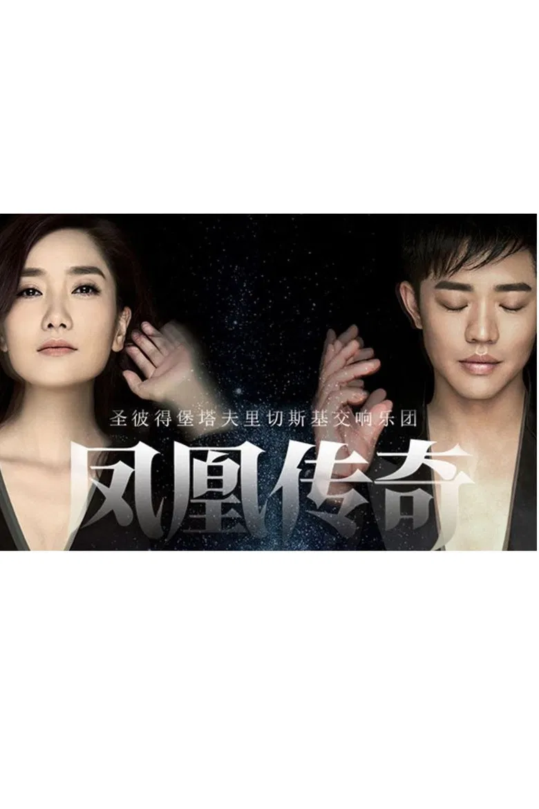 凤凰传奇新年交响演唱会 poster background