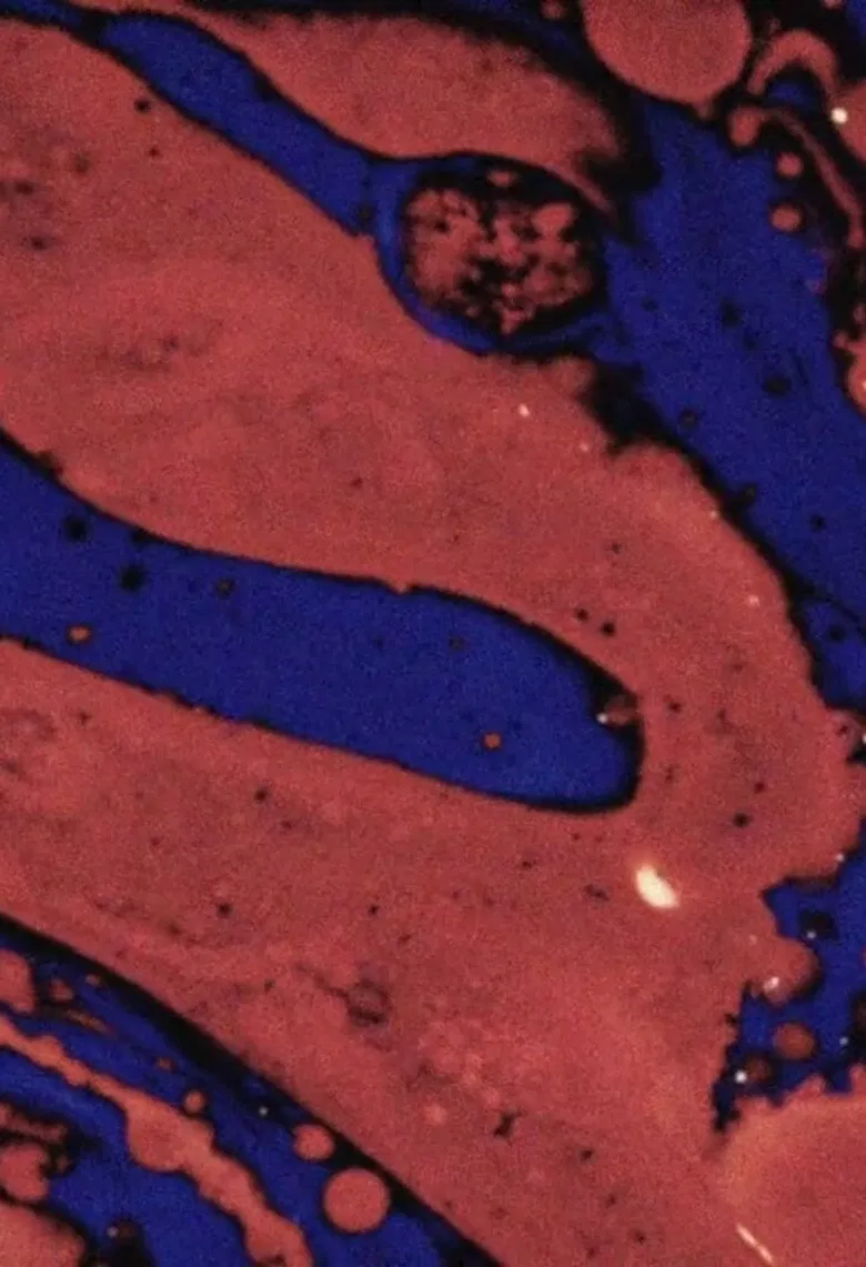 THE BLUE NAIVE AND THE RED BEAST poster background