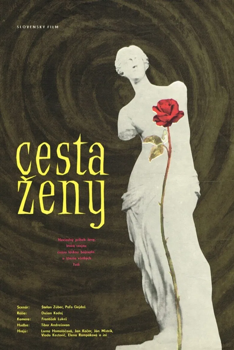 Cesta ženy poster background