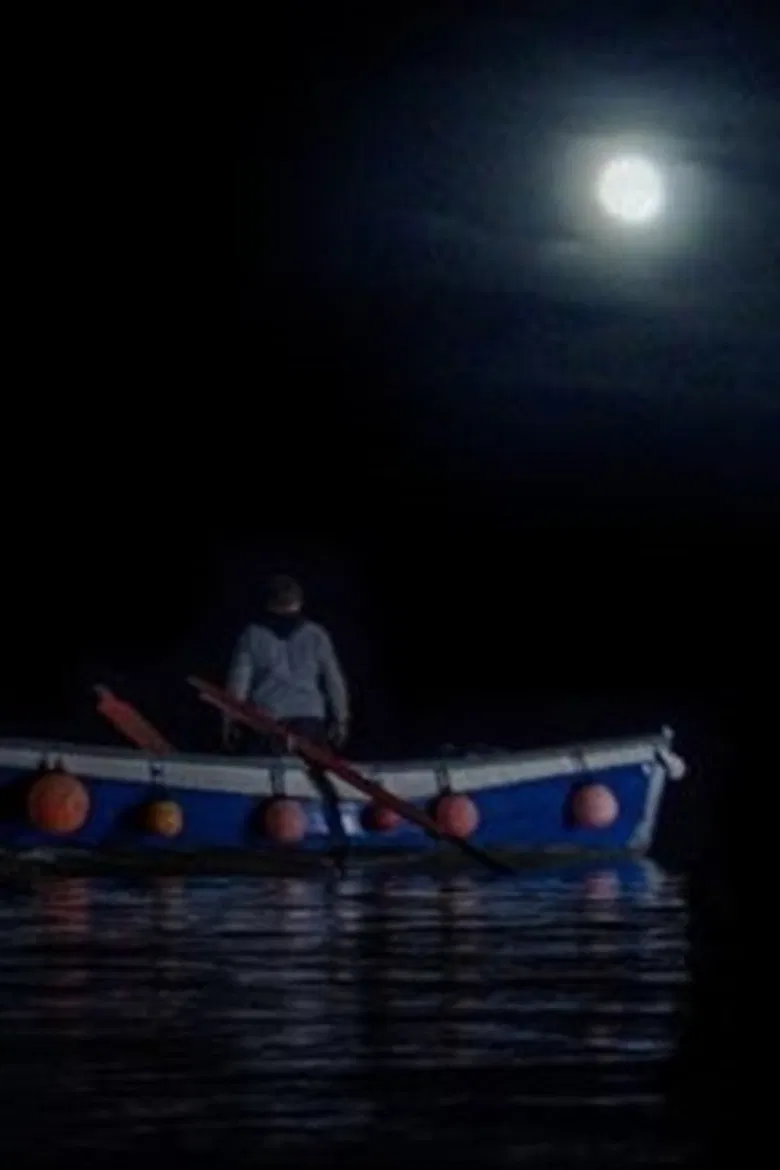 The Mermaid of Mevagissey poster background