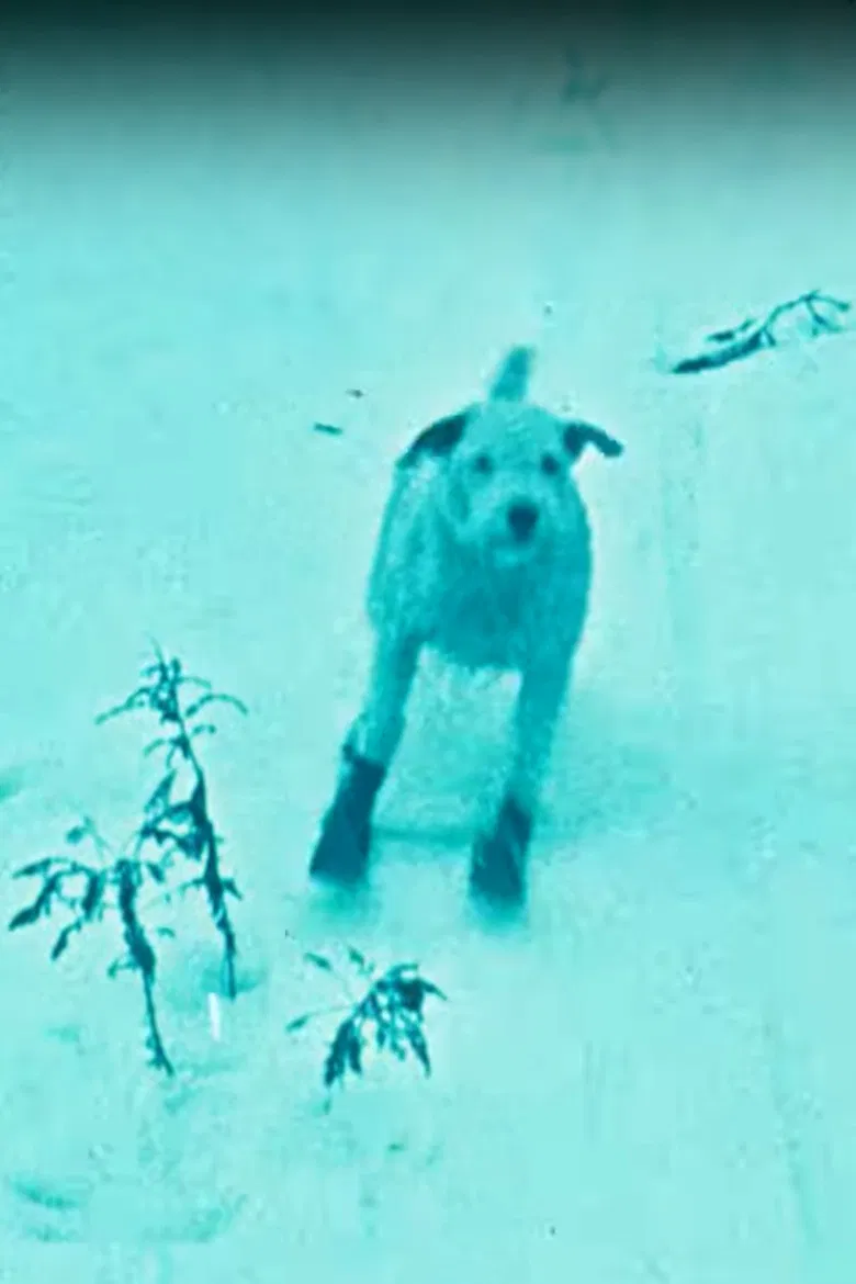 A Winter's Tale poster background