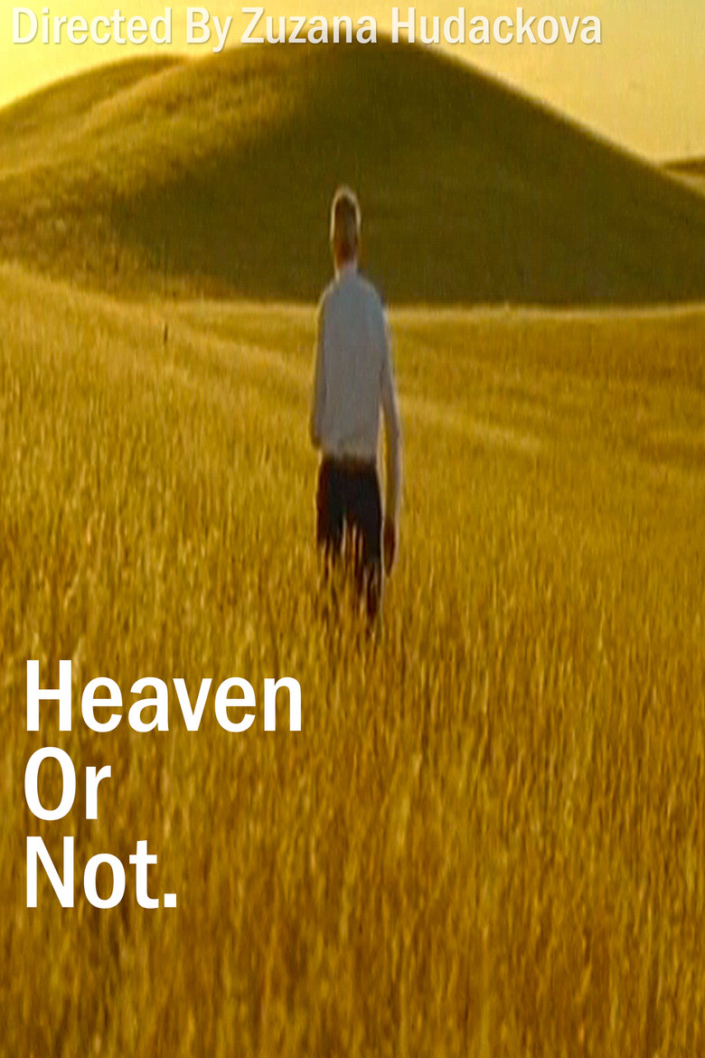 Heaven Or Not poster background