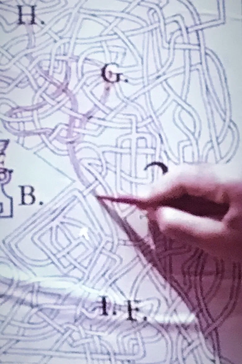 The Pink Biennal poster background