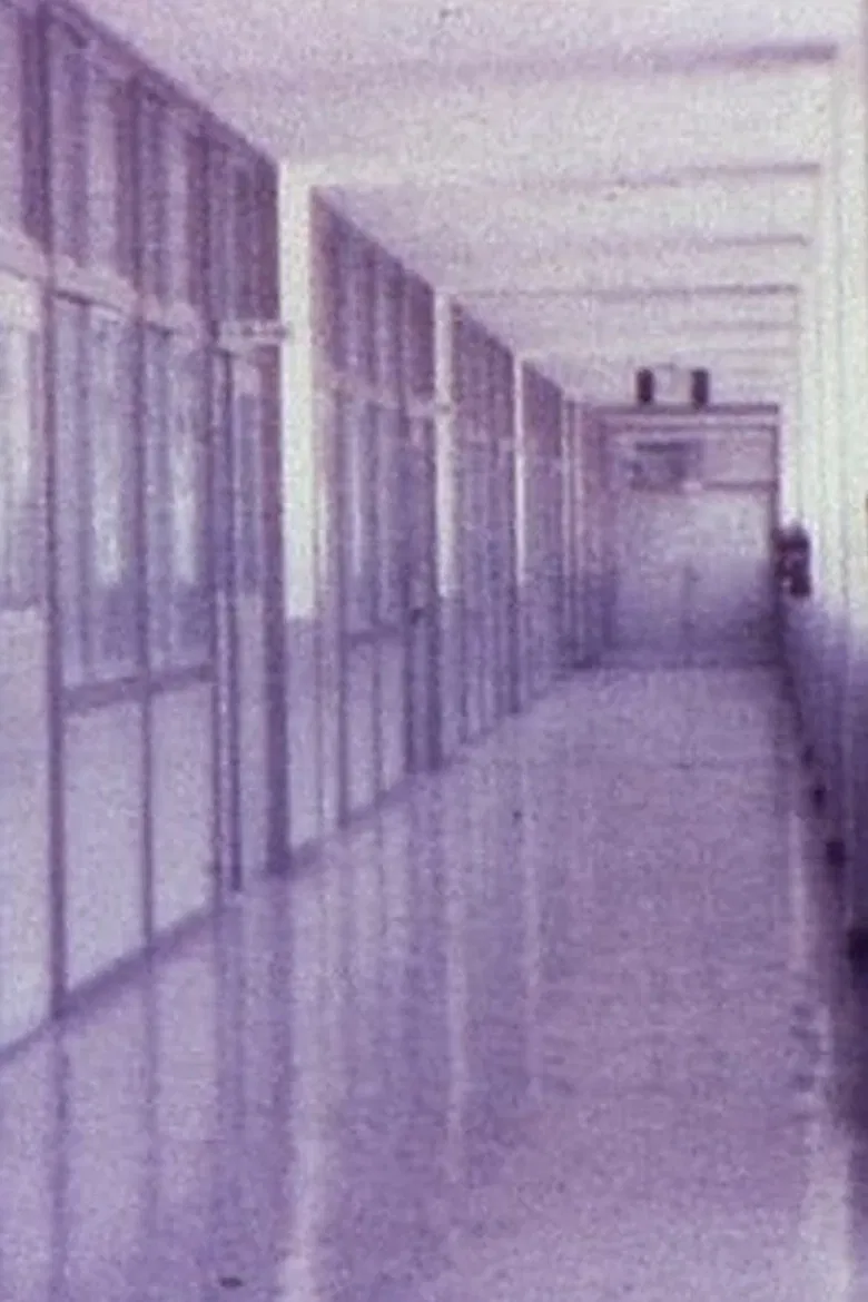 Sunset poster background