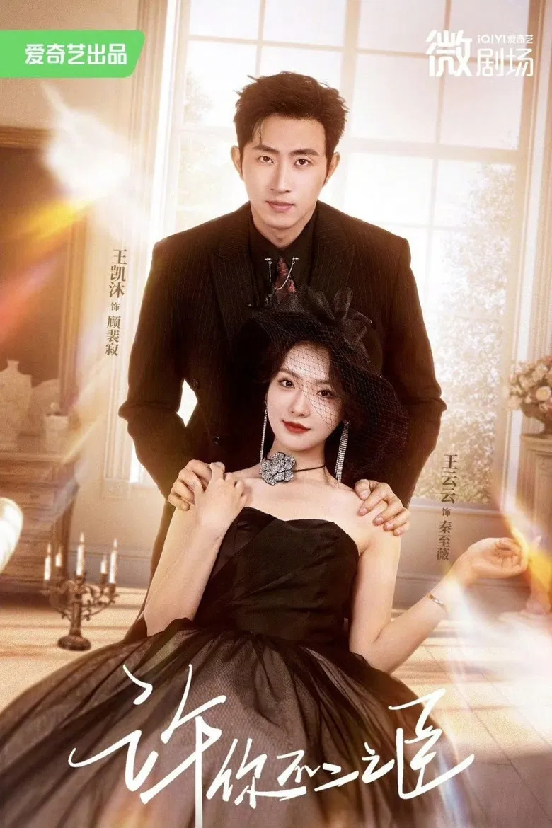 许你不二之臣 poster background