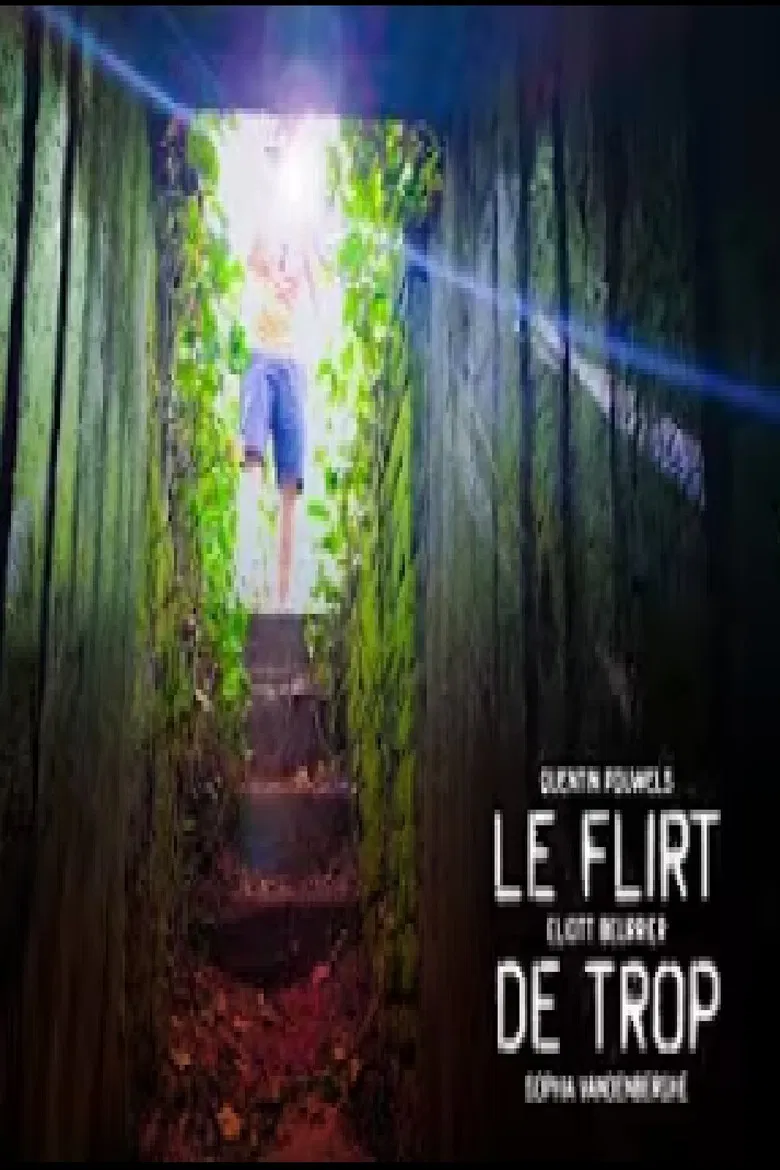 Le flirt de trop poster background