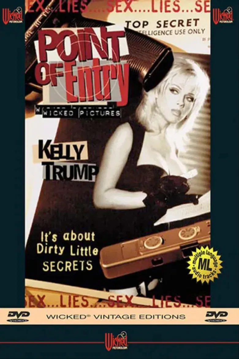 Point of Entry poster background