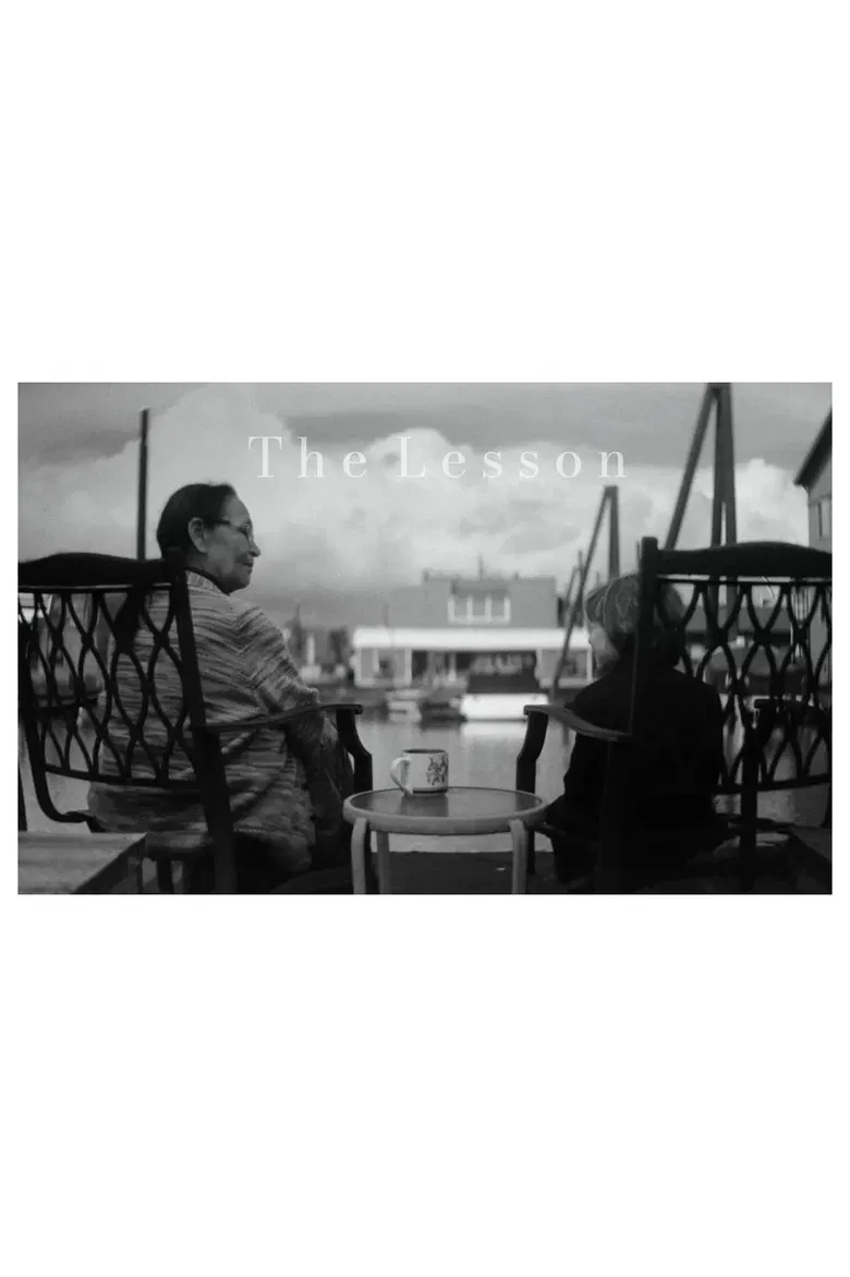 The Lesson poster background