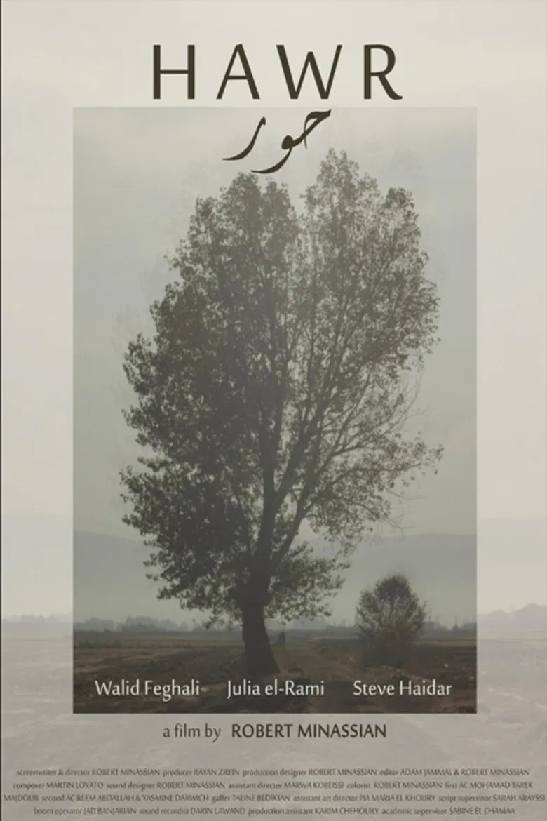 Hawr poster background