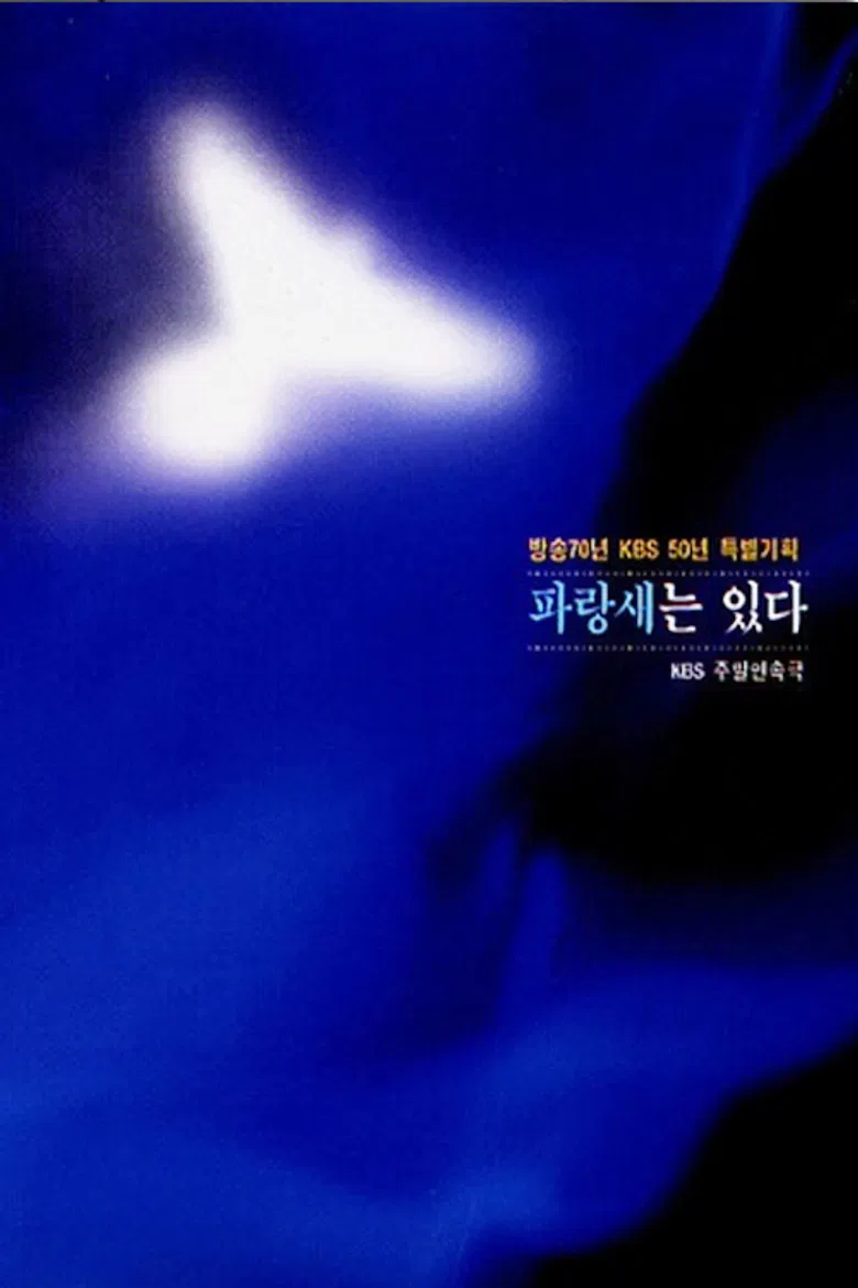 파랑새는 있다 poster background