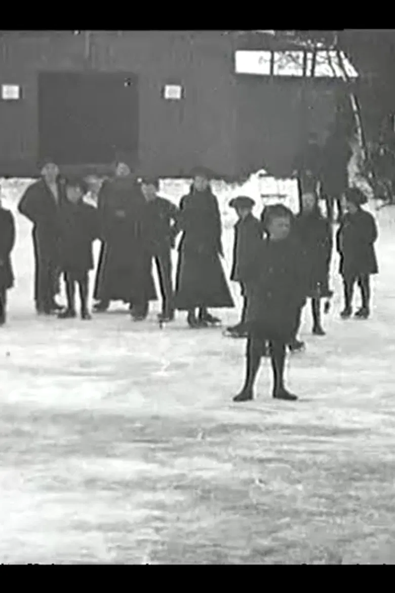 Skøjteløbning i Fredericia poster background