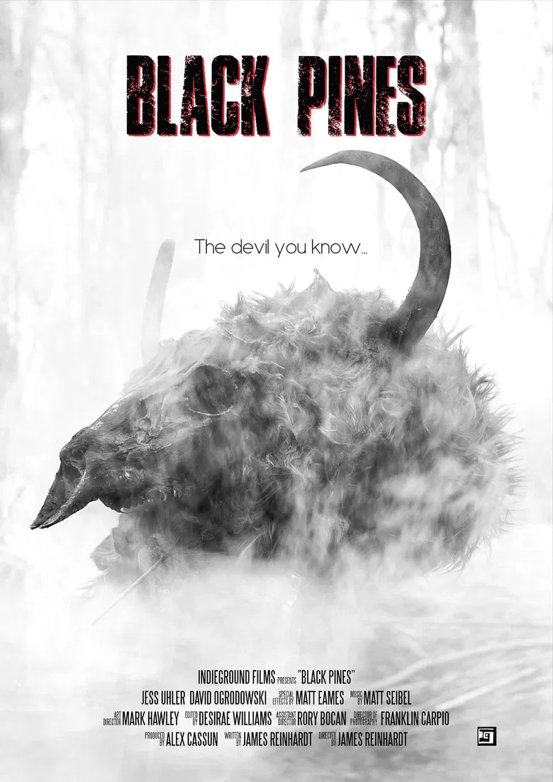 Black Pines poster background