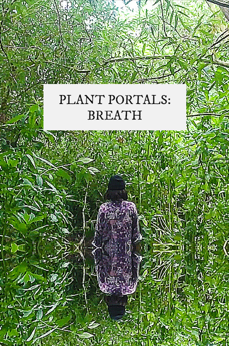plant portals: breath poster background