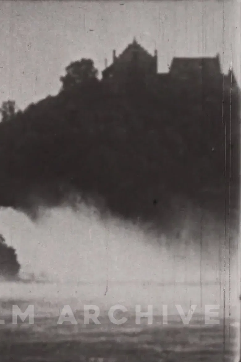 The Little Swiss Woodcarver poster background