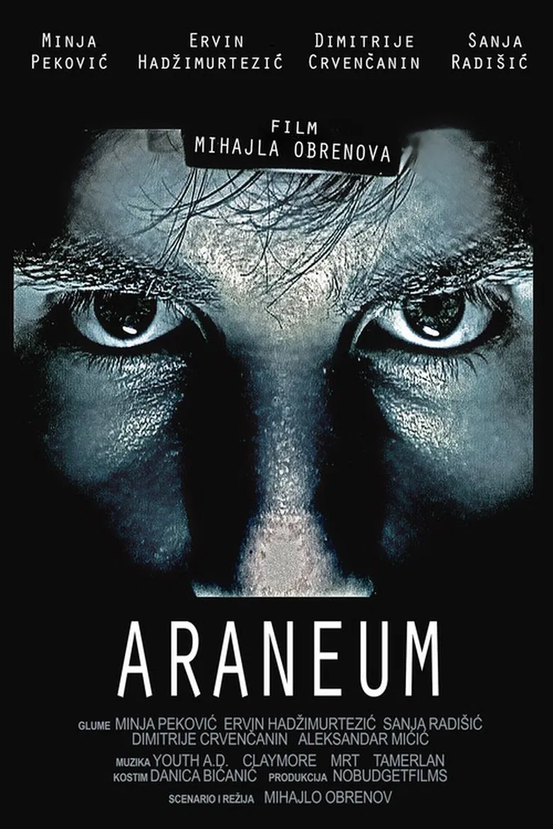 Araneum poster background