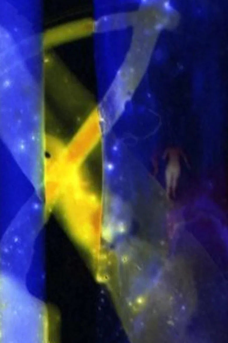 Skinnydipping Carbon Beach Malibu Film poster background