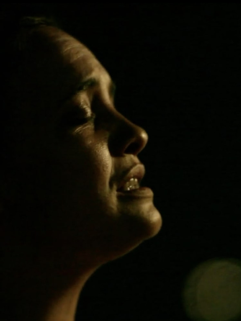 MAGIK FIKUS poster background