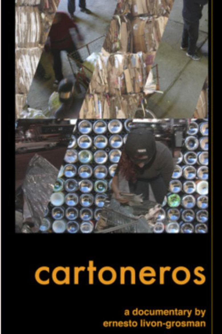 Cartoneros poster background