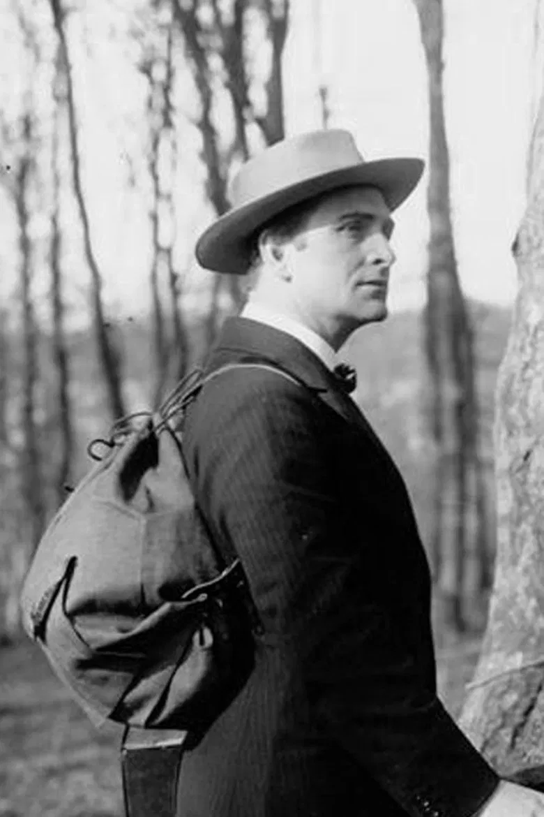 The Awakening poster background