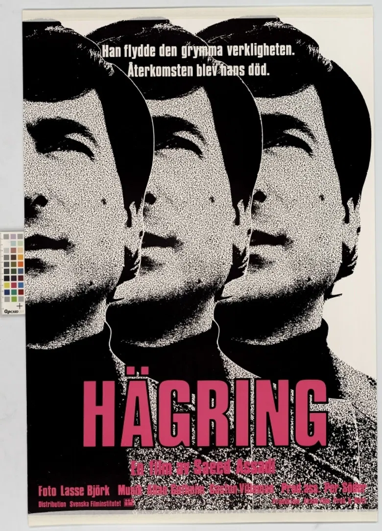 Hägring poster background