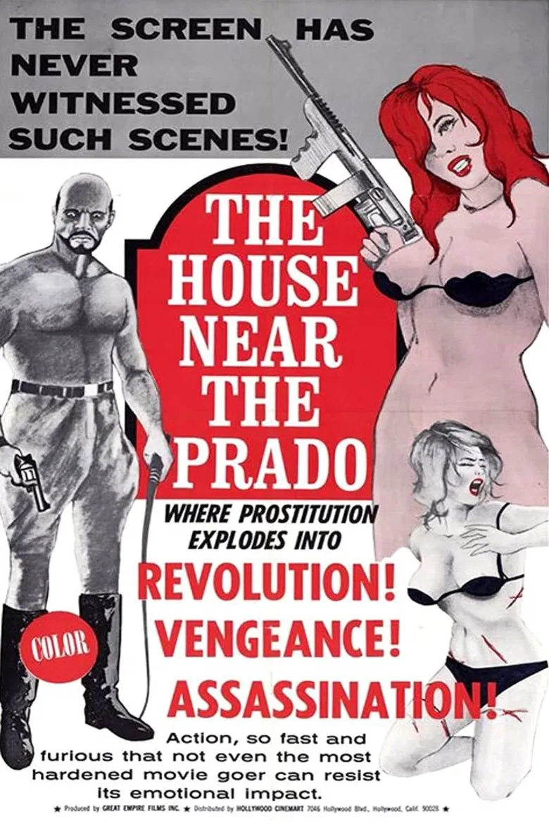The House Near the Prado poster background