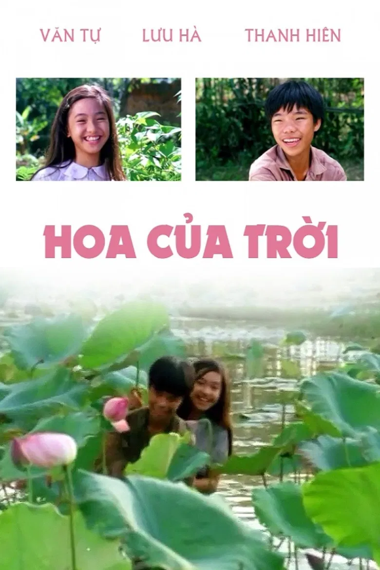 Hoa Của Trời poster background