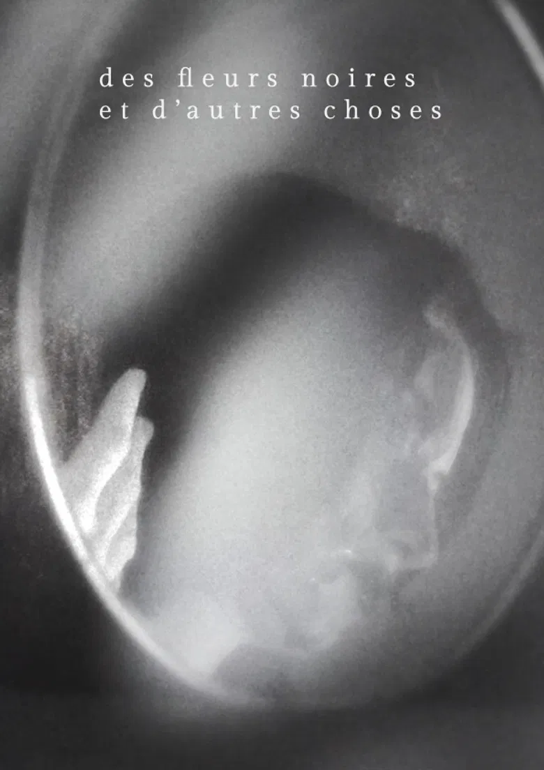 Des fleurs noires et d'autres choses poster background