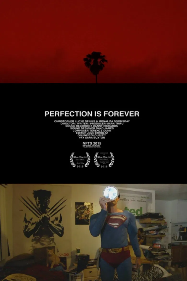 Perfection Is Forever poster background
