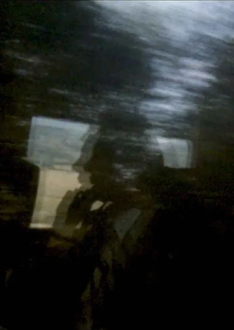 My Echo, My Shadow and Me poster background