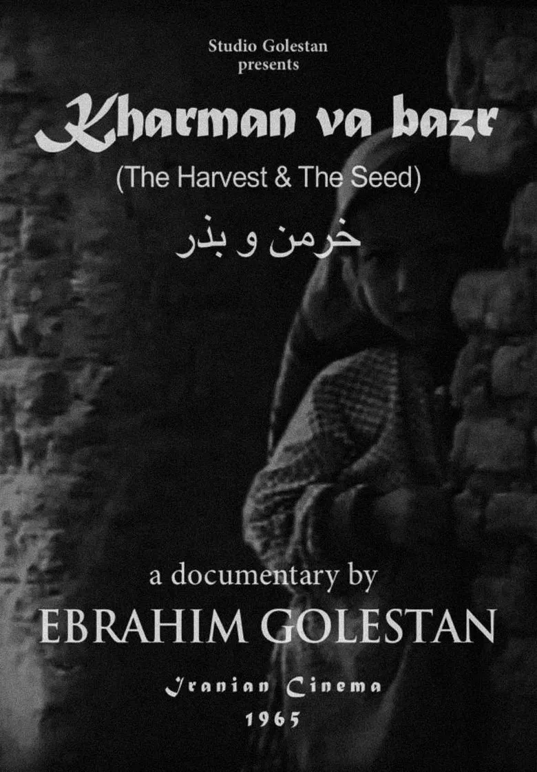 Harvest and Seed poster background