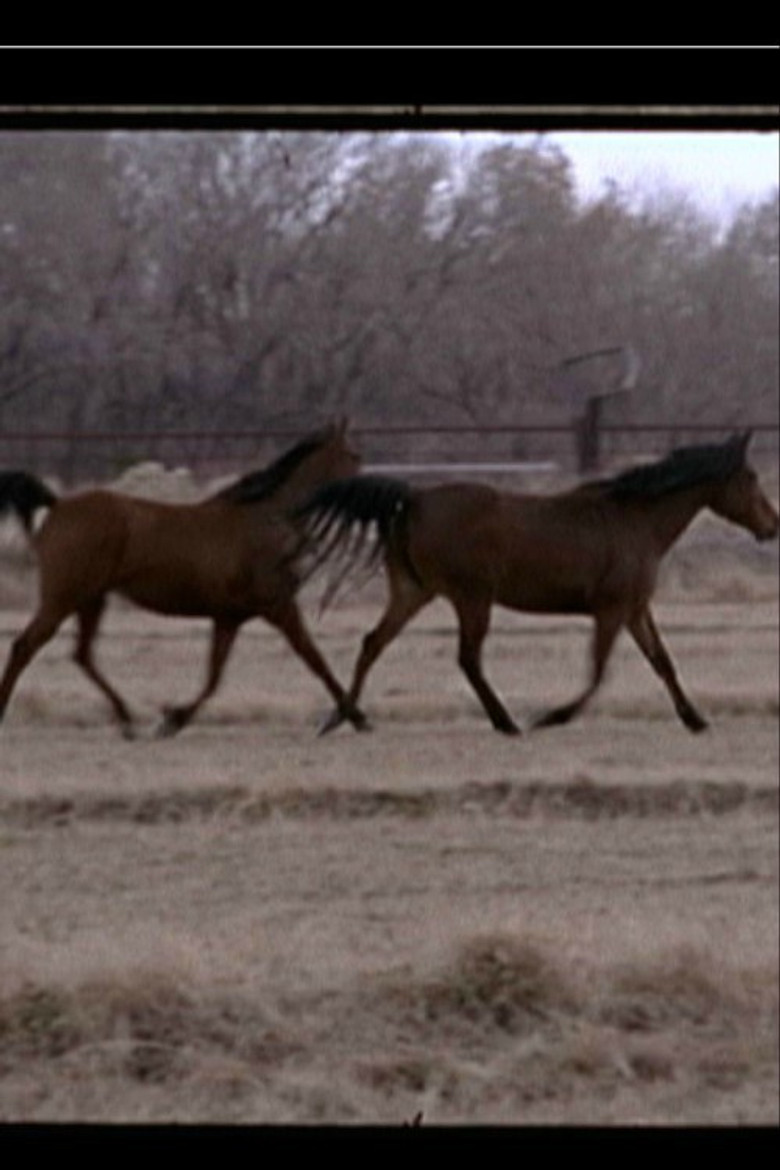 White Sands poster background